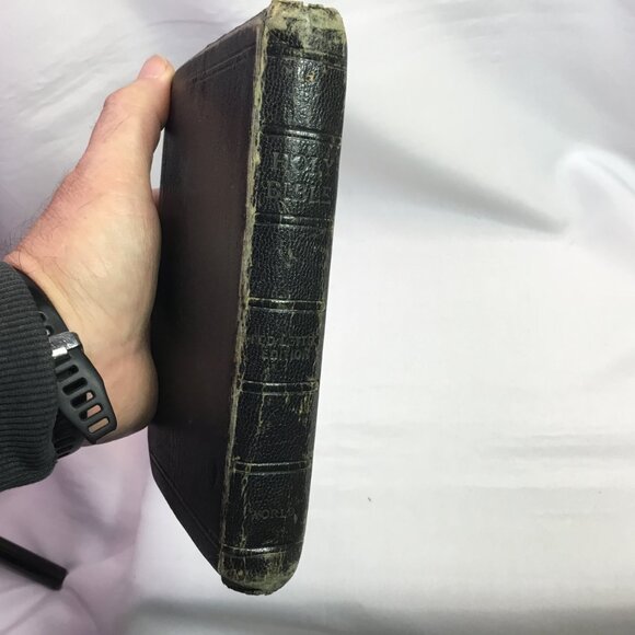 Holy Bible Illustrated KJV Self-Pronouncing Edition Zippered World Pub Vintage - Picture 5 of 15